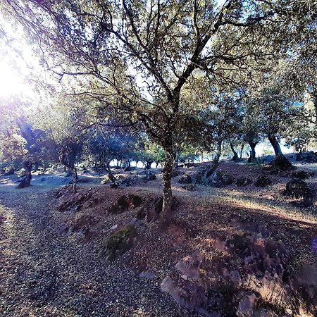 Casa Rural Gurumelo Aracena Bagian luar foto