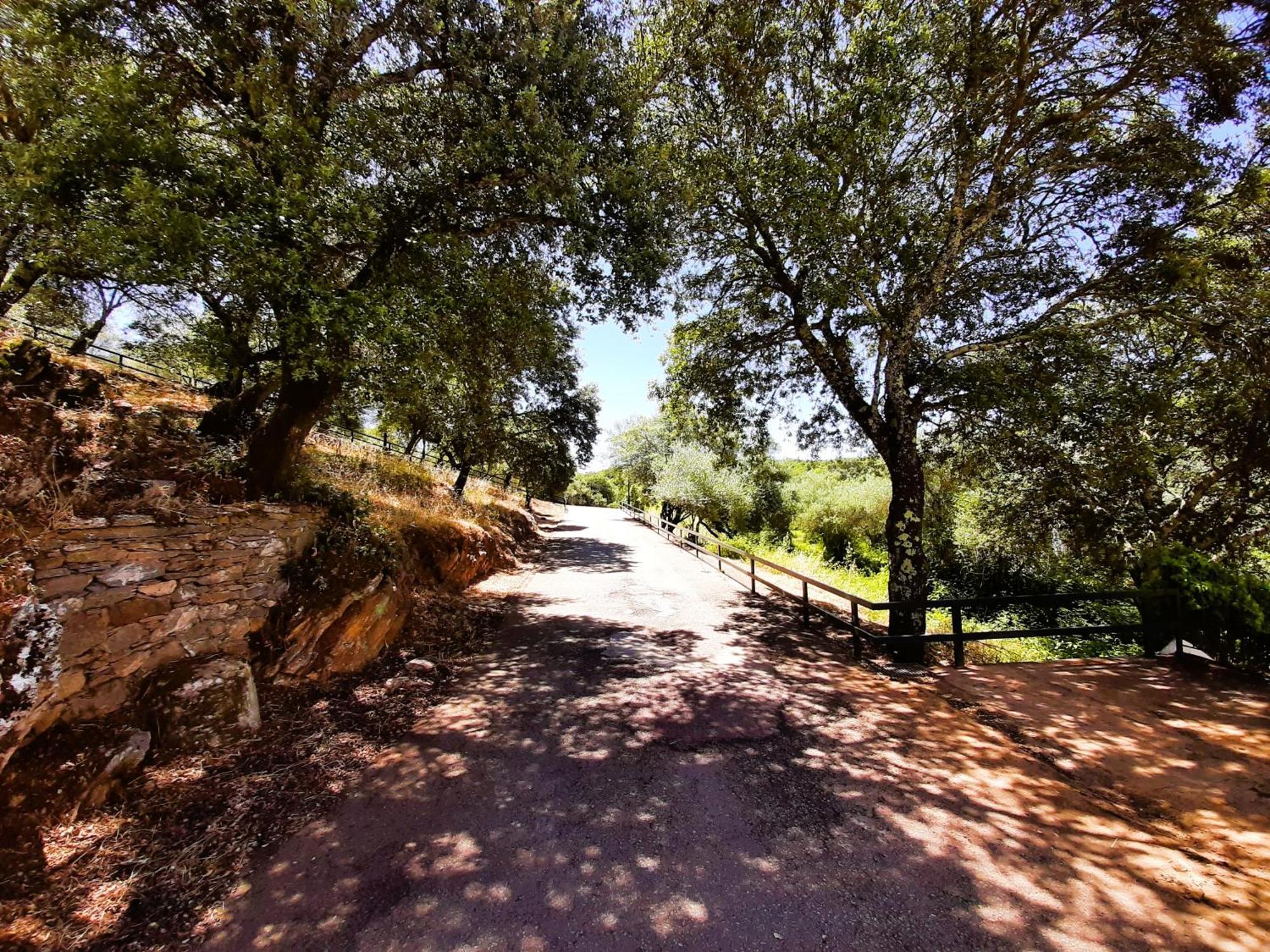 Casa Rural Gurumelo Aracena Bagian luar foto