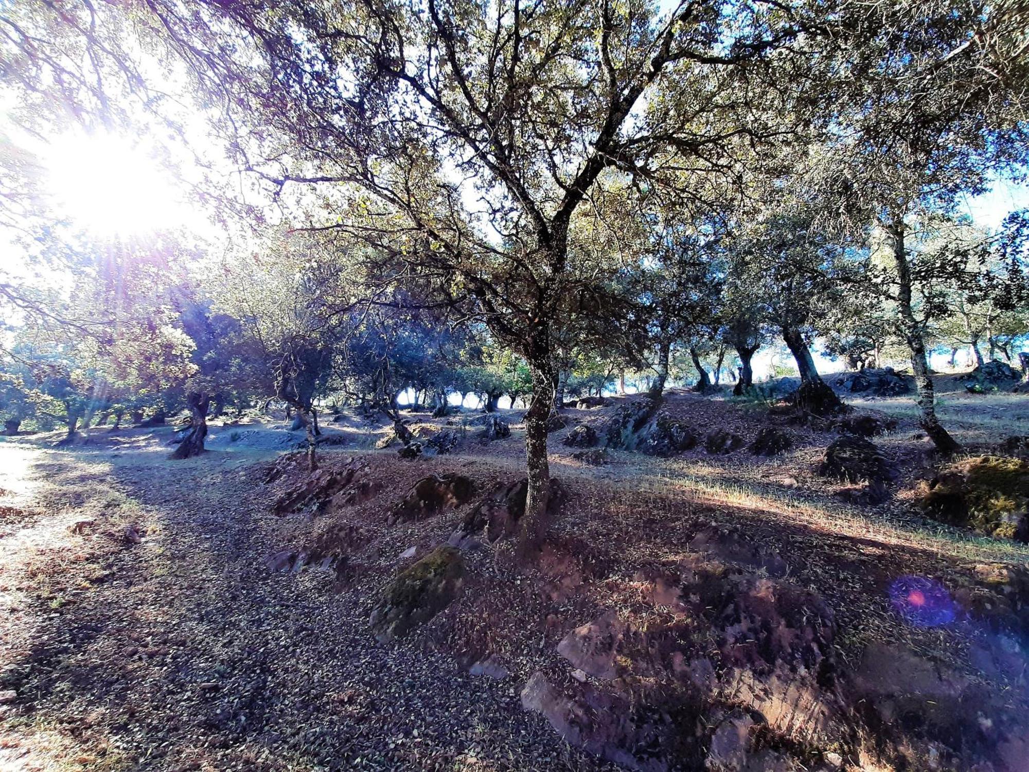 Casa Rural Gurumelo Aracena Bagian luar foto